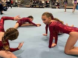 Image result for Heathrow Aerobics Gymnastics Club