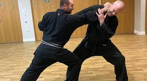 Image result for Bridge Hall Bujinkan Dojo
