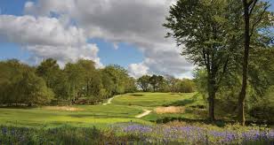 Image result for Brokenhurst Manor Golf Club