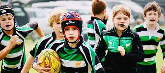 Image result for Farnborough Rfc Minis & Juniors