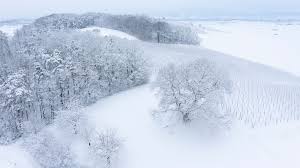 Image result for schnee