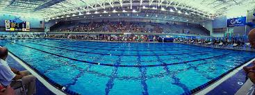 Image result for Kingsbridge Kingfishers Swimming Club