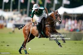 Image result for Cowdray Park Polo Club