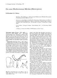 Attēlu rezultāti vaicājumam “Alloeotomus sp.”