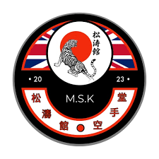Image result for middlesbrough karate academy