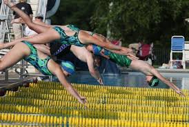 Image result for 243 Diving Club