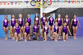 Image result for Ingleby Gymnastics Club