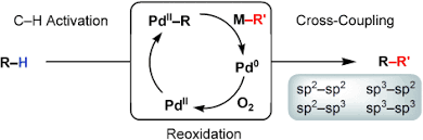 Image result for  `   C   h | [ Y