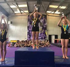 Image result for Loughton Gymnastics Club