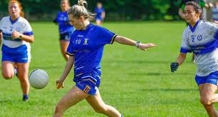 Image result for John Mitchel`s Gaelic Athletic & Social Club