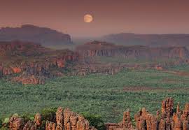 Billedresultat for kakadu n...