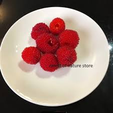 Attēlu rezultāti vaicājumam “Rubus illecebrosus fruit”