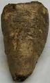 Arracacha - Wikipedia, the free encyclopedia