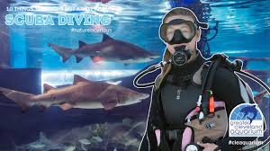 Image result for Cleveland Divers