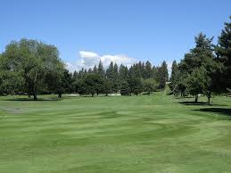 Image result for Avondale Gc