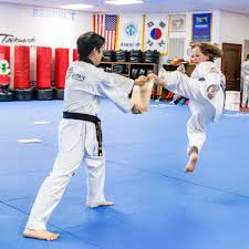 Image result for English International Allstyles Taekwon-Do