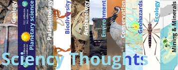 Attēlu rezultāti vaicājumam “Anthracoidea”