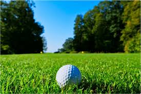 Image result for Wigtownshire County Golf Club