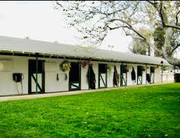 Image result for Elstead Riding Club