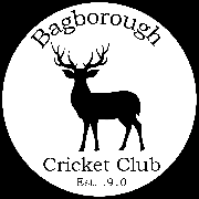 Image result for Over Stowey Cricket Club