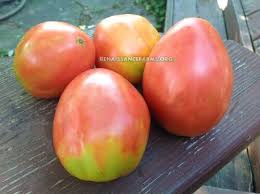 Afbeeldingsresultaat voor CDB tomato