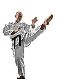 Image result for United Sport Karate