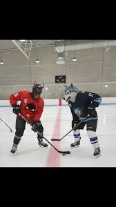 Image result for Stirling Ice Rink Sports Club