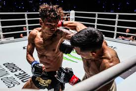 Image result for Southgate T`ai Tsung Chinese Boxing