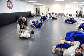 Image result for Alpha Judo Club