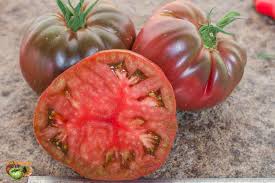 Afbeeldingsresultaat voor black brandywine tomato