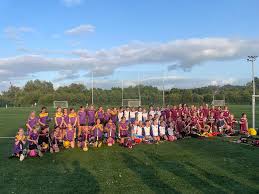 Image result for Bredagh G A C