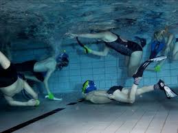 Image result for Xarifa Octopush Club (East Manchester)