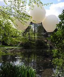 Image result for PONT DE SINGE