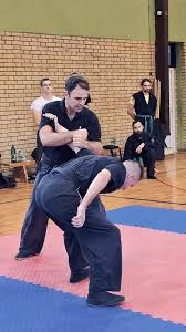 Image result for M-S-N Ninjutsu (Bujinkan) Club