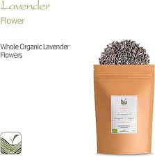 Attēlu rezultāti vaicājumam “Lavandula angustifolia bud”