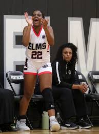 Image result for Elmbridge Girls Basketball Club