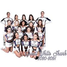 Image result for Gym Stars Cheerdancing Club
