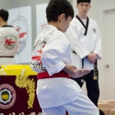 Image result for Kees Tae Kwon Do