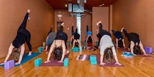 Image result for Hatha Yoga Club