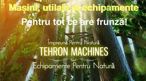 Image result for gepetto tehron