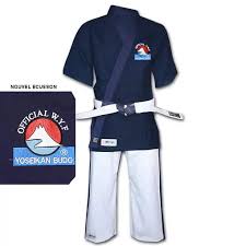 Image result for Yoseikan Budo England