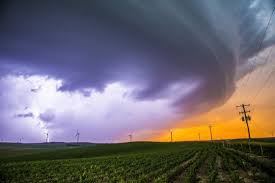 Image result for Tadcaster Tornadoes