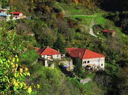 Attēlu rezultāti vaicājumam “Leporida”