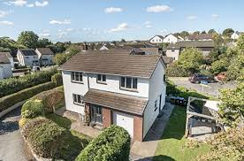 Image result for Newton Abbott Knights