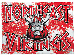Image result for North East Vikings