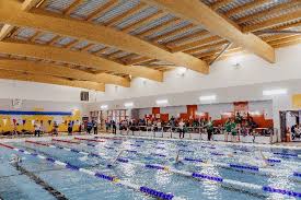 Image result for Thornaby Amateur Swimming Club