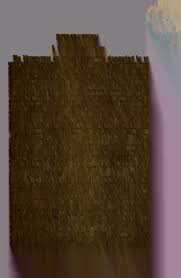 Attēlu rezultāti vaicājumam “Arcyria, Heterotrichia sp.”