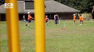 Image result for Walton-On-Thames Cricket Club