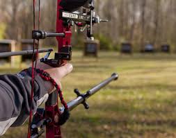 Image result for Castle Field Archers