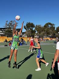 Image result for Newdigate Netball Club